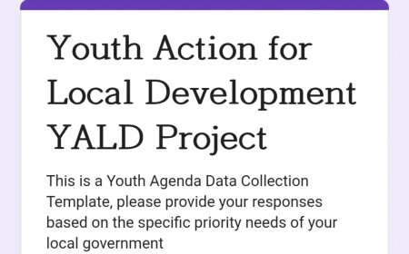 Call for Youth Input: Data Collection for the Katsina Youth Agenda (YALD Project)